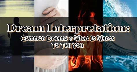 Dream Interpretation Common Dreams And What It Wants To Tell You
