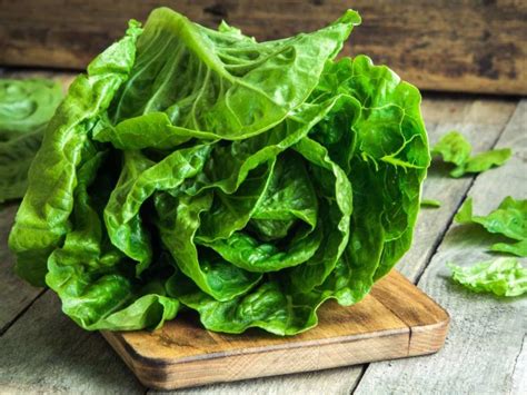 10 Scientifically Proven Health Benefits Of Lettuce Page 3 Of 10