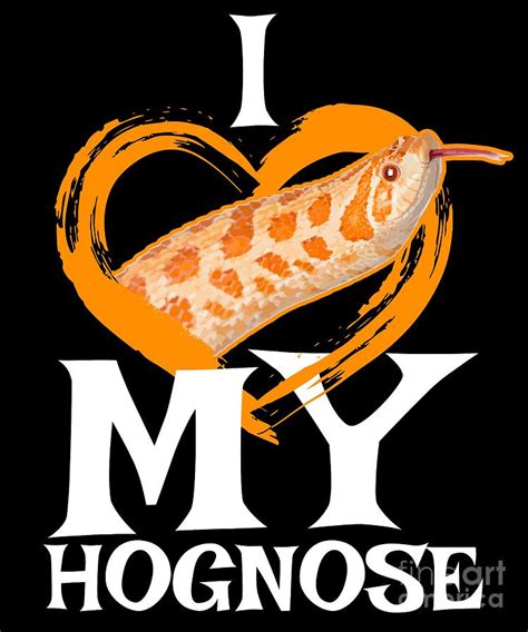 See more ideas about hognose snake, western hognose snake, reptiles and amphibians. Hognose Snake design Gift for Pet Western Hoggy Reptile ...