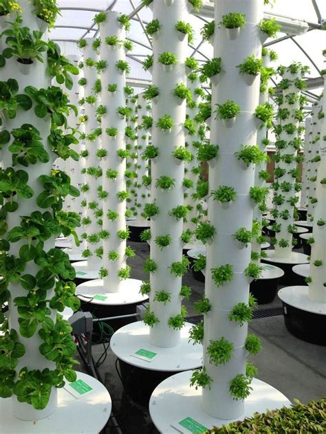 Vertical Aeroponic Tower Garden Hydroponic Farming Hydroponic