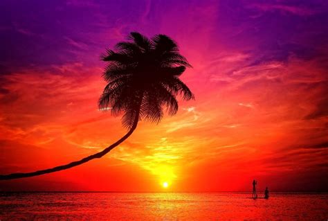 Tropical Island Sunset Free A Of Get Free Puzzle On Newcastlebeach 2020 🧩