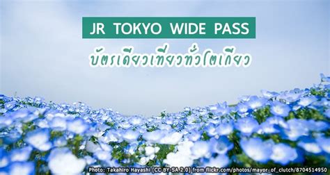 อัพเดตใหม่ 2023 Jr Tokyo Wide Pass พาสสุดคุ้ม ใบเดียวเที่ยวทั่วโตเกียว และเมืองรอบๆ 2567