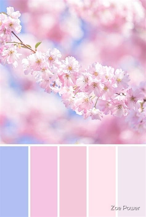 This Pastel Pink Colour Palette Was Inspired By The Most Beautiful