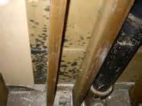To remove the mold stains from your ceiling, check out this article that will guide you through the. Redwood Environmental Services - Inspect For Mold
