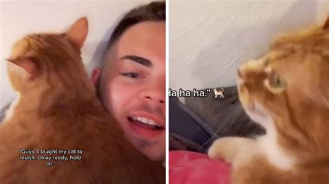 Watch Man Teaches His Cat How To Laugh In A Hilarious Video Limerick