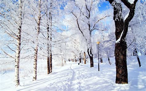 10 Snow Facts To Make You Feel Festive The List Love