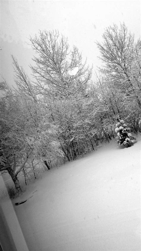 Taken In My Home Place Beautiful Winter Snow Falll ️ Winter Snow