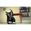 Cartoon Cat 3D Animation • Full Rotation  Design &