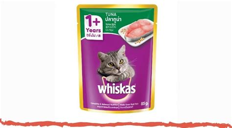 Home » makanan kucing » review makanan kucing cici harga premium. Harga Makanan Kucing Whiskas Tahun 2021 - Sikalem
