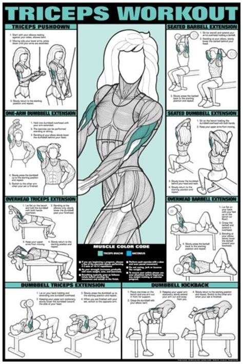 We did not find results for: Triceps workouts | Fitness and health | Pinterest | Charts ...
