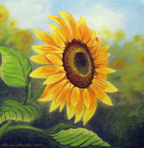 Sunflower Painting By Sharon Marcella Marston