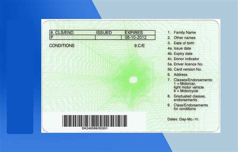 New Zealand Drivers License Psd Template Download Photoshop File