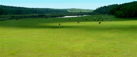 Greener Pasture Free Photo Download Freeimages