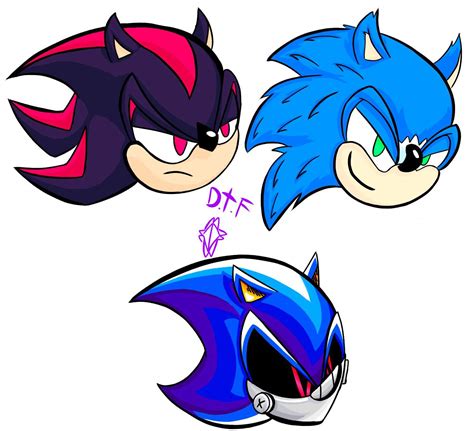 Some Hedgehogs Sonic The Hedgehog Amino