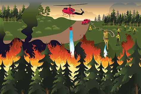 Royalty Free Forest Fire Clip Art Vector Images And Illustrations Istock