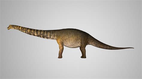 Dinosaur Found In Australia Was 2 Stories Tall And The Length Of A