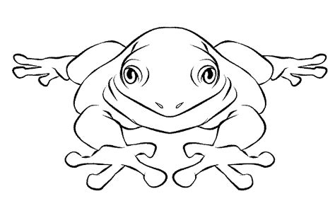 Frog Cartoon Coloring Coloring Pages