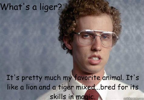 He's half lion and half tiger. What's a liger? It's pretty much my favorite animal. It's like a lion and a tiger mixed…...bred ...