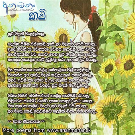 Sinhala Poem Soori Malak By Chapa Ekanayaka Sinhala Kavi Sinhala