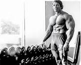 Pictures of Arnold Shoulder Workout Exercises