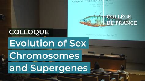 Evolution Of Sex Chromosomes And Supergenes 11 Tatiana Giraud 2021 2022 Youtube