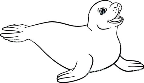 To download our free coloring pages, click on the united states of america or individual state you'd like to color. Seal Coloring Pages Picture - Whitesbelfast