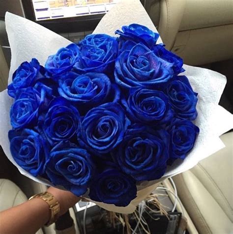 ورد هذا الحديث من طريق معاوية بن صالح ، عن عبد الرحمن بن جبير به. Beautyroseskw on Twitter: "بوكيه ورد ازرق طبيبعي ب ٢٢ دك ماراح تلاقون ارخص منه 💓 للطلب ...