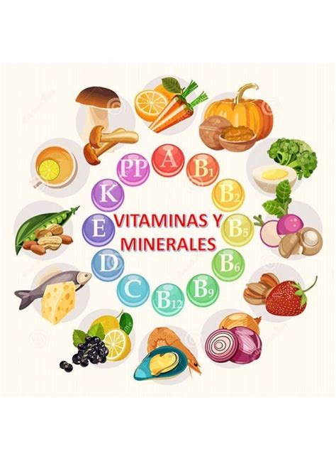 Elementos De La Salud Y Nutricion Mind Map