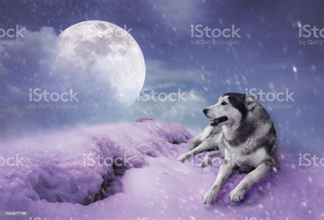 Landscape At Snowfall With Super Moon Serenity Nature Background Stock