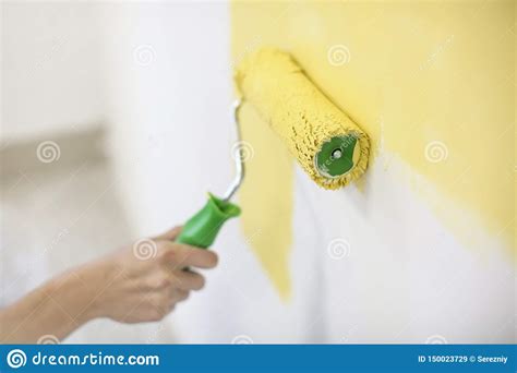 Male Decorator Painting Wall With Roller Indoors Stock Image Image Of
