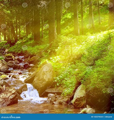 Mountain River Forest And Bright Sun Stock Image Image Of Splash