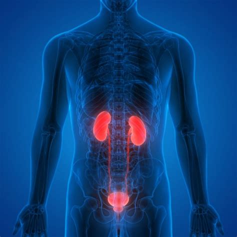 9 Warning Signs Of Kidney Cancer Not To Ignoredo You Feel Shooting