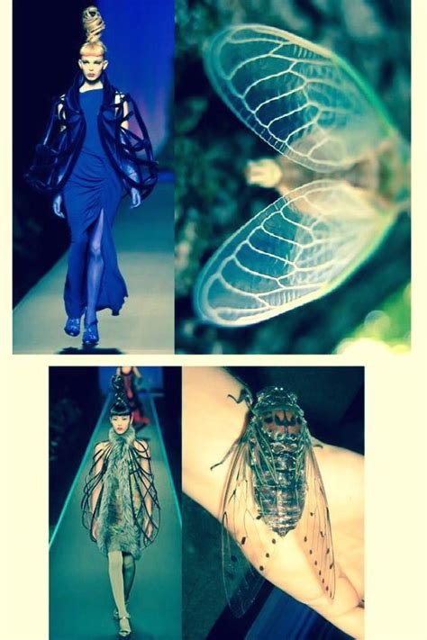 Insect Fashion 1000 Fashion Inspiration Design Fashion