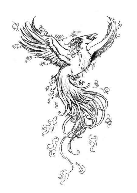 Drawings Of A Phoenix Bird Phoenix Tattoo Phoenix Drawing Phoenix Tattoo Design