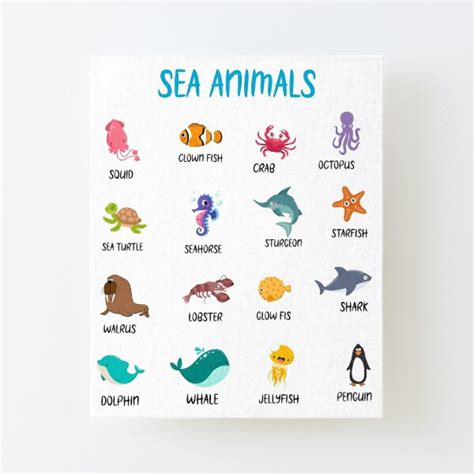 Learn Sea Animals Namessea Animals With Nameocean Animals Name