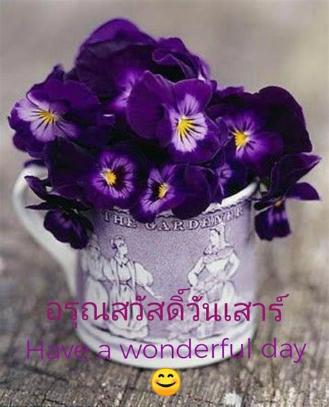 Pin By Somacha Homhual On Good Morning And A Good Day Purple Pansy
