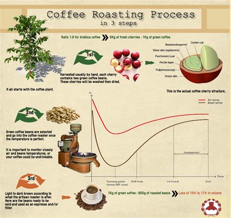 The Physical And Chemical Properties Of Coffee Beans Change Into