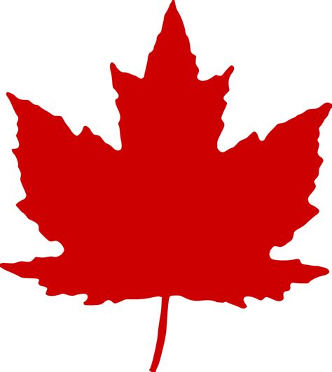Canada Leaf Png Images Transparent Background Png Play