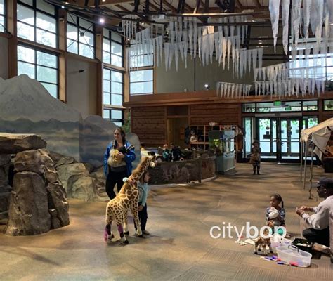 10 Best Things To Do At Woodland Park Zoo Citybop