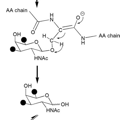 Permethylation Of Glycan Chains Download Scientific Diagram