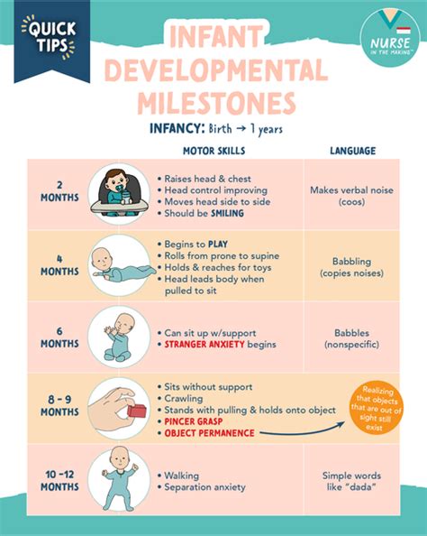 Infant Developmental Milestones Nurseinthemaking
