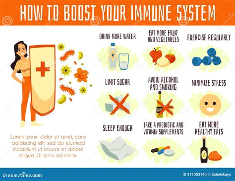 Infographic How To Boost Defenses of Immune System Cartoon Vector
