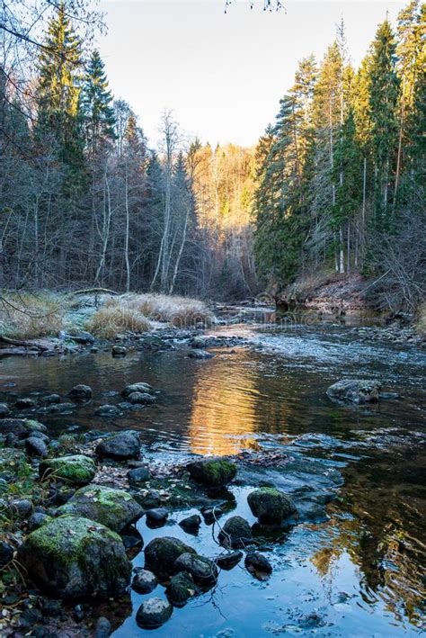 Scenic River View Landscape Of Forest Rocky Stream With