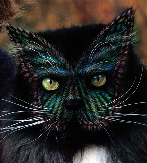 See Stunningly Painted Cats Of The Book Why Paint Cats Catster