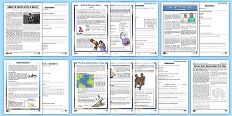 Non Chronological Reports Examples Ks2 Resource Pack Twinkl