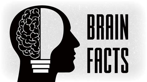 45 Facts About Your Brain That Your Brain Didn T Know YouTube