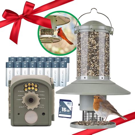 Wingscapes Green Automatic Bird Feeder With Bird Camera