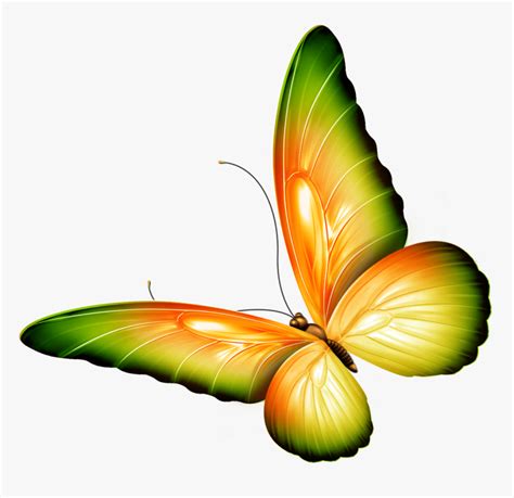 Flying Butterfly Clipart Png Clip Art Transparent Butterflies Png