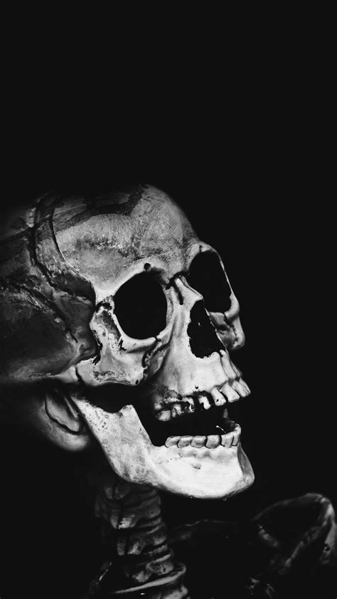 Ultra Hd Classic Skull Wallpaper For Your Mobile Phone 0057