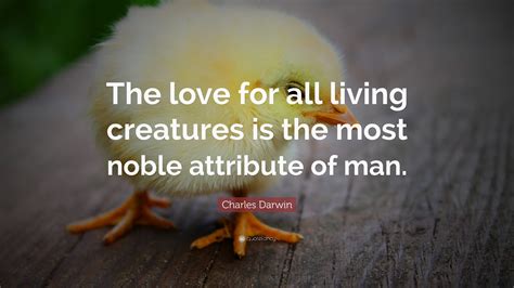 Charles Darwin Quote “the Love For All Living Creatures Is The Most
